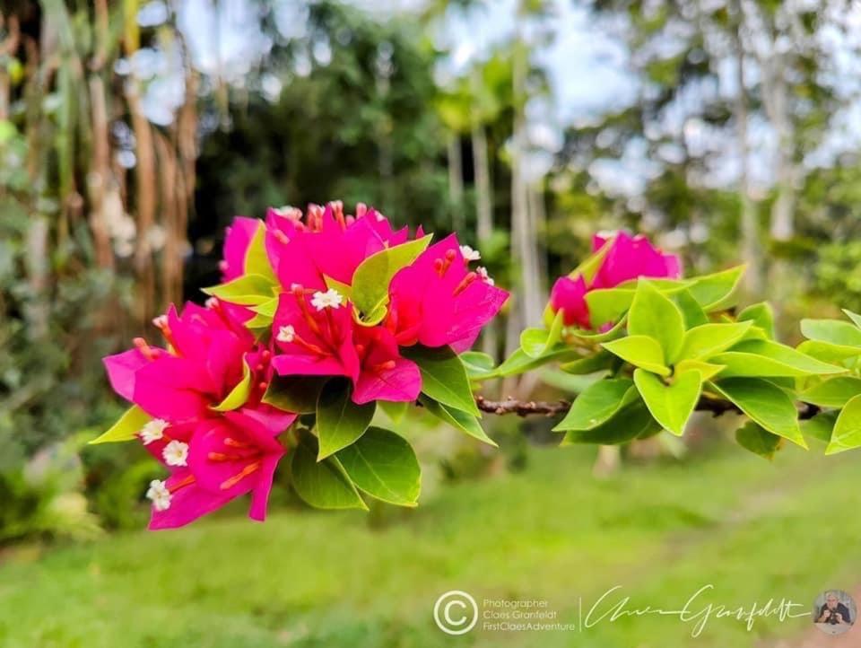 Phurin Thara Resort Ko Lanta Eksteriør billede